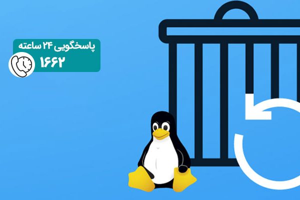 بازیابی اطلاعات در سیستم عامل لینوکس